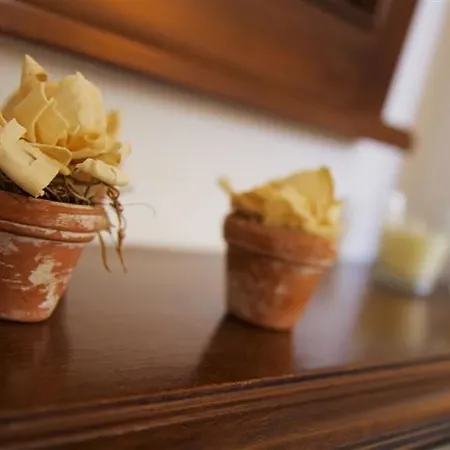 Cultural House Pyrgos Kallistis